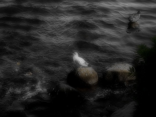 © Maki Nakagawa & Jingernon Tsumori.